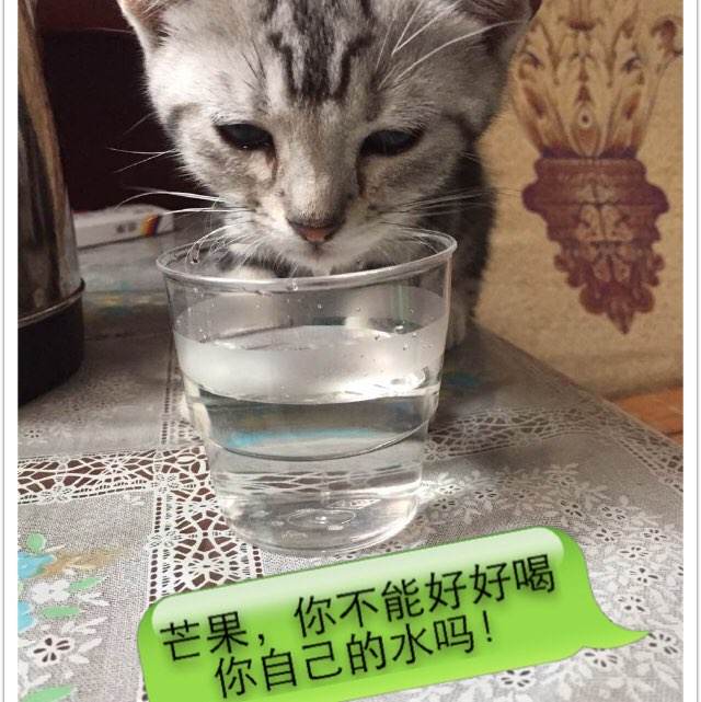俄亥俄州河谷技术学院硕士毕业证